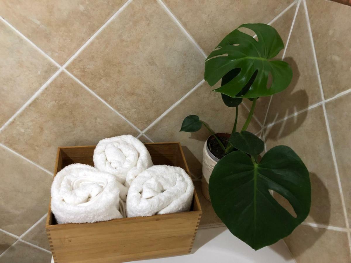 杜班维尔 The Wild Fig酒店 外观 照片